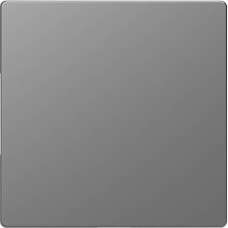 Заглушка Merten D-Life MTN4075-6036 Нержавіюча сталь