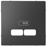 Панель для USB розетки Merten D-Life MTN4367-6034 Антрацит