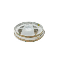 Світлодіодна стрічка 3838-120-IP65-RGB-10-24 RD60C0JP