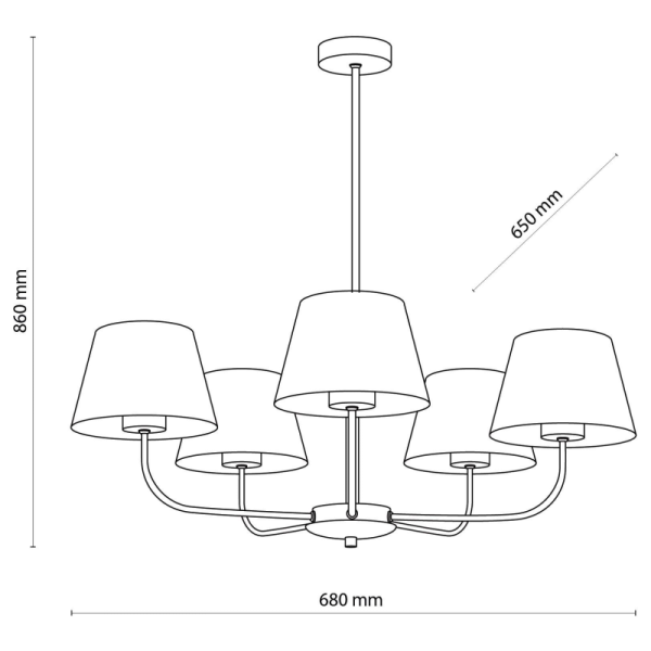 TK-Lighting CHICAGO 5  3989