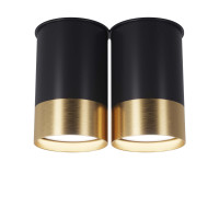 Точковий спот BP Black/White Gold двійний, арт. 25595