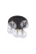 TK-Lighting NILOS BLACK / GOLD 5 758
