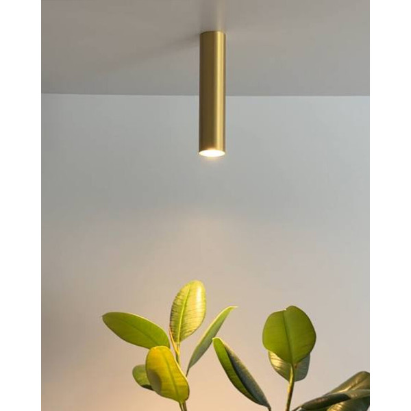 Точковий світильник Nowodvorski 8912 Eye GU10 1x35W IP20 Brown