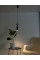 Підвісний світильник Nowodvorski 5398 Eye GU10 1x10W IP20 Gr